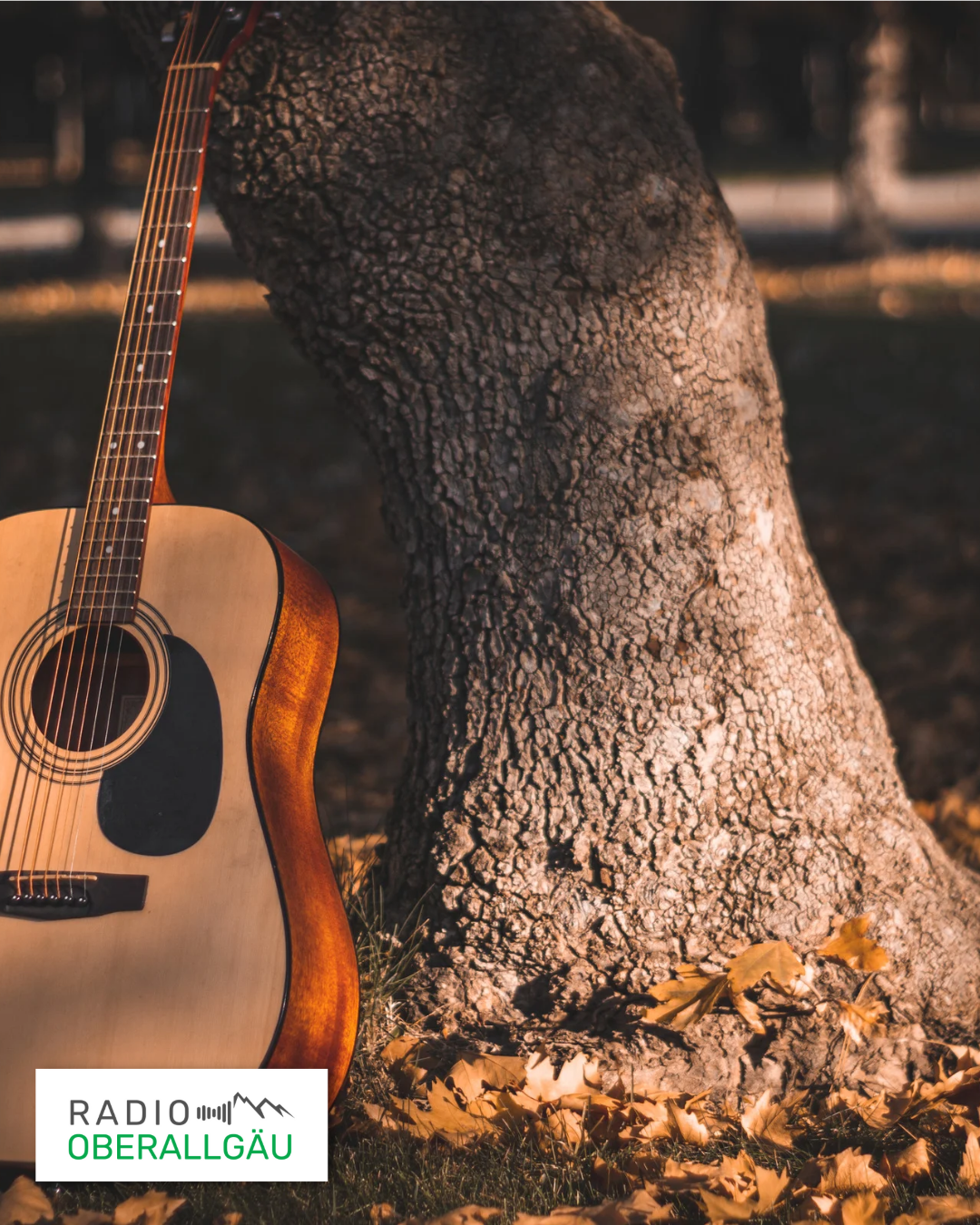 Du betrachtest gerade Ruhige Musik zu Allerheiligen – und Rock zum Abschluss des Rocktober